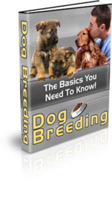 Product picture Dog Breeding: The Basics You Need To Know